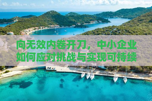 向无效内卷开刀，中小企业如何应对挑战与实现可持续发展