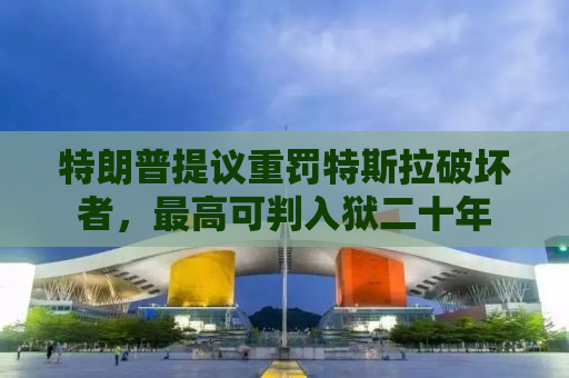 特朗普提议重罚特斯拉破坏者，最高可判入狱二十年