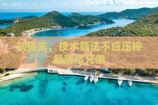 刘强东，技术算法不应压榨最底层兄弟