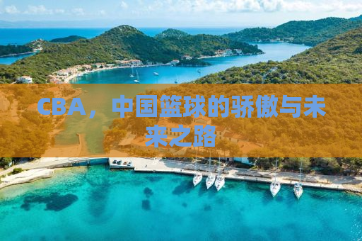 CBA，中国篮球的骄傲与未来之路