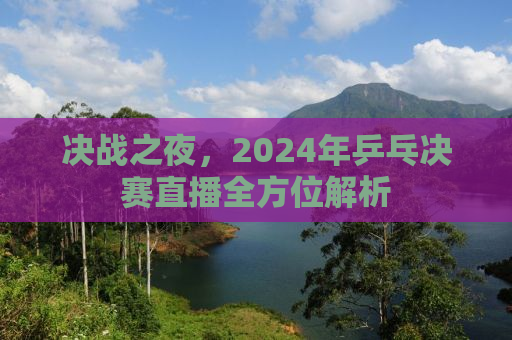 决战之夜，2024年乒乓决赛直播全方位解析