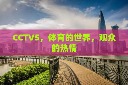 CCTV5，体育的世界，观众的热情