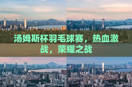 汤姆斯杯羽毛球赛，热血激战，荣耀之战