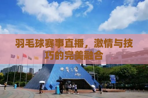 羽毛球赛事直播，激情与技巧的完美融合