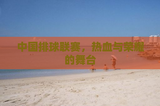 中国排球联赛，热血与荣耀的舞台