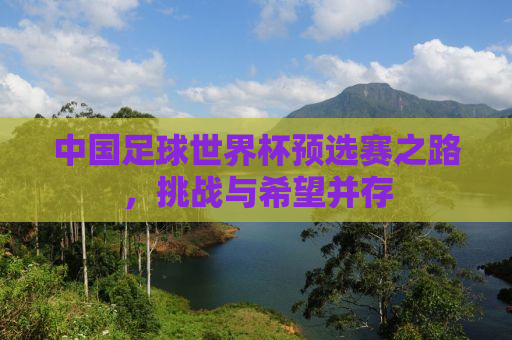 中国足球世界杯预选赛之路，挑战与希望并存