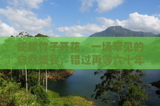 成都竹子开花，一场罕见的自然盛宴，错过再等六十年