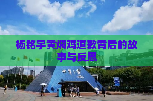 杨铭宇黄焖鸡道歉背后的故事与反思