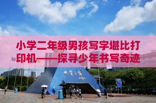 小学二年级男孩写字堪比打印机——探寻少年书写奇迹的背后