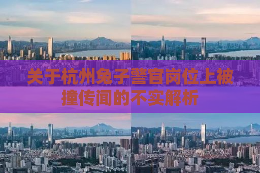 关于杭州兔子警官岗位上被撞传闻的不实解析