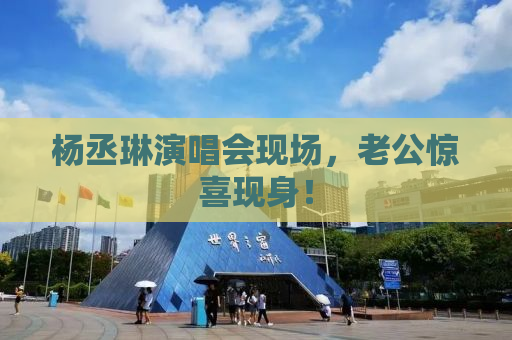 杨丞琳演唱会现场，老公惊喜现身！