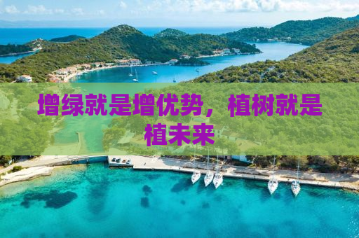 增绿就是增优势，植树就是植未来