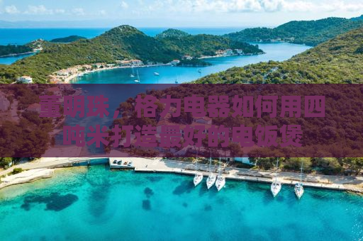 董明珠，格力电器如何用四吨米打造最好的电饭煲