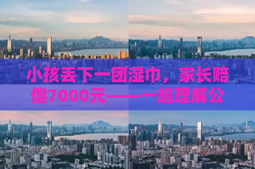 小孩丢下一团湿巾，家长赔偿7000元——一起理解公共场所的责任与担当
