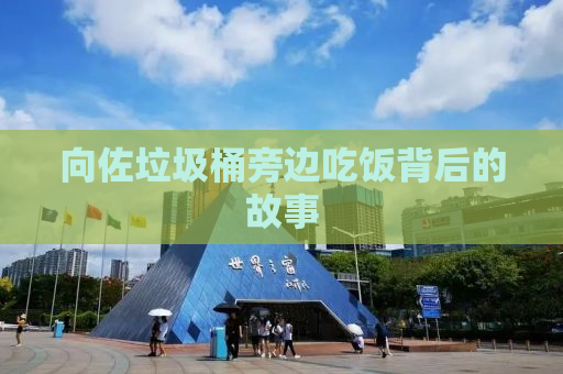 向佐垃圾桶旁边吃饭背后的故事