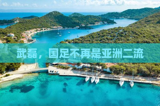 武磊，国足不再是亚洲二流