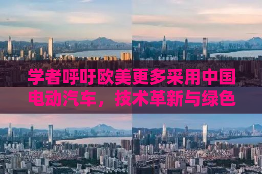 学者呼吁欧美更多采用中国电动汽车，技术革新与绿色转型的关键驱动力