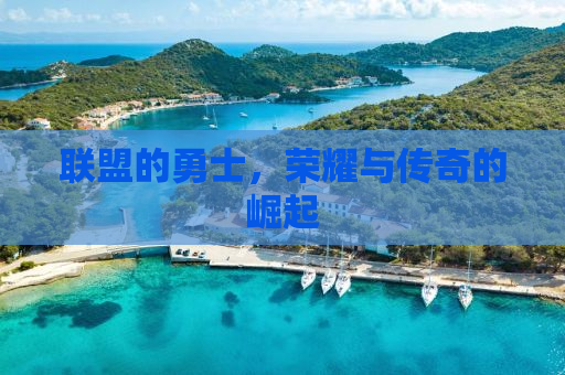 联盟的勇士，荣耀与传奇的崛起