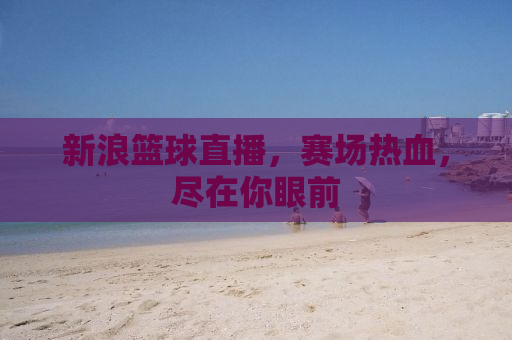 新浪篮球直播，赛场热血，尽在你眼前