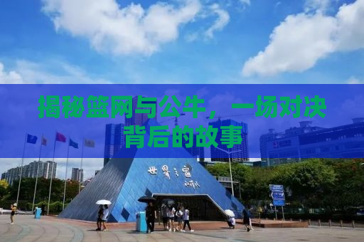 揭秘篮网与公牛，一场对决背后的故事