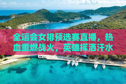 全运会女排预选赛直播，热血重燃战火，英雄挥洒汗水