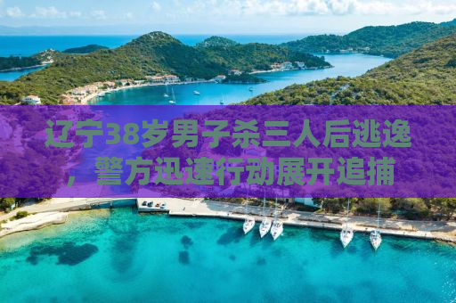 辽宁38岁男子杀三人后逃逸，警方迅速行动展开追捕