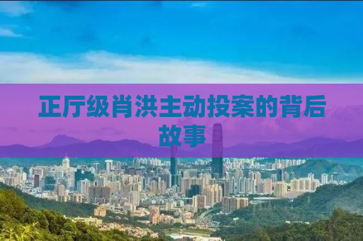 正厅级肖洪主动投案的背后故事