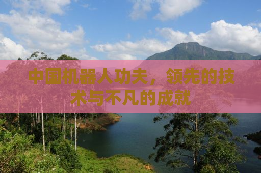 中国机器人功夫，领先的技术与不凡的成就