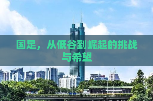 国足，从低谷到崛起的挑战与希望