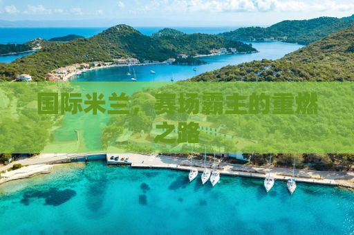 国际米兰，赛场霸主的重燃之路