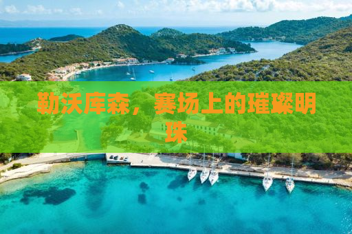 勒沃库森，赛场上的璀璨明珠