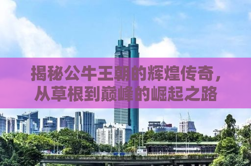揭秘公牛王朝的辉煌传奇，从草根到巅峰的崛起之路