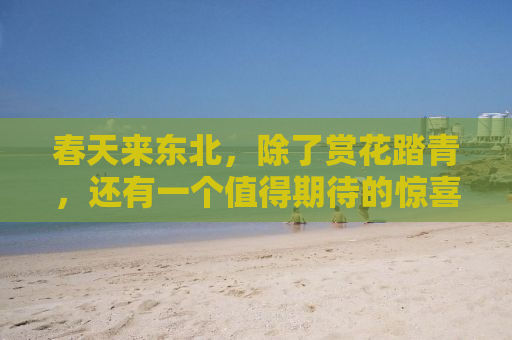 春天来东北，除了赏花踏青，还有一个值得期待的惊喜——冰雪消融后的东北大地，将展现出别样的魅力。本文将为您详细介绍春天来东北旅游的新理由，带您领略这片土地的美丽与独特之处。