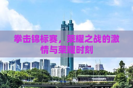 拳击锦标赛，荣耀之战的激情与荣耀时刻