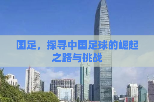 国足，探寻中国足球的崛起之路与挑战