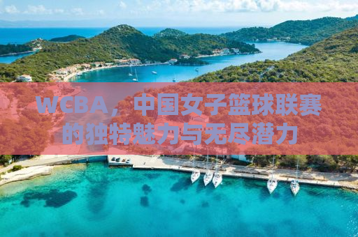 WCBA，中国女子篮球联赛的独特魅力与无尽潜力